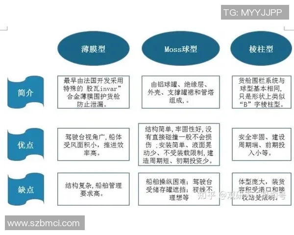 专业分析LNG市场的整体压制策略与未来发展趋势探讨 专业分析LNG市场的整体压制策略与未来发展趋势探讨